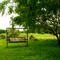 Swing Under Mezquite Tree, Falfurrias, Texas, USA