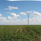 WINDMILLS