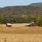 Farm Near Monteagle, TN
