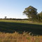 Pasture View in Highland Bluffs - www.BluffLiving.com