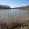 GrundyLife - Laurel Lake
