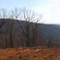 Near Altamont, Tennessee