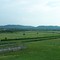 Iroquois Steeplechase