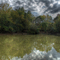 A tree lined pond at Jefferson Springs
