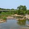 Walter Hill Park