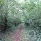 Trail of Tears, Old Jefferson