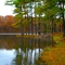 Fall in Dickson, Tennessee