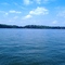 Summer on Lake Douglas