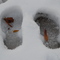 Snow in Zachary, LA.