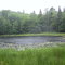 Mackinac Lake - deep in the UP forest