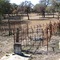 Guadalupe Cemetery