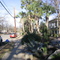 San Antonio Street Historic District - San Marcos