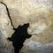 Wonder World Cave - howderfamily.com
