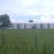 Grain Silos