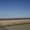 Feed Lot