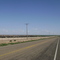 Feed Lot
