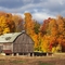 Centennial Farm On M32