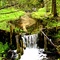 Creek Falls
