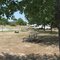 Camp site at Kiptopeke State Park