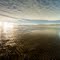 Low Tide