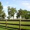 country view