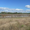 Cotton Field, Shirley Plantation, VA