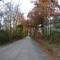 Country road