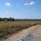 Toward the of Peaks of Otter through the Virginia haze.  Looking from Hat Creek Rd.