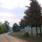 Leaving Camp Hat Creek.  "Dark" tobacco barn.