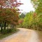 Driving into Camp Hat Creek.