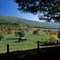 Rural Virginia near Monterey 1998