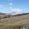 Bluegrass Valley