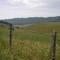 Blue Grass Valley