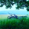 abandoned plow atop Bear Mountain, rural Highland County Virginia (7-31-2006)
