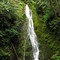 Madison Creek Falls (40')