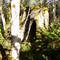 king st stump
