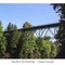 Lower Elwha River Bridge