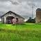 Hastings farm