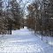 Dakota County Dog Park