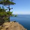 Monarch Head, Saturna Island BC