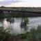 Gibbon Train Bridge