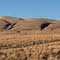 McWHORTER RANCH Collection #1
