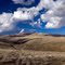 McWHORTER RANCH Collection #4