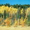 Autumn in Clam Lake