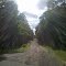 looking west down gravel road - June 2012
