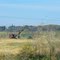 Vintage Quarry Power Shovel in Autumn Colors - Lime (Mankato), MN - October 22nd, 2011
