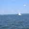 Sailboats on Lake Winnebago