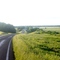 Down to the Plain