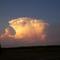 Fox Road Thunderhead