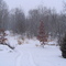 Snowy Trail